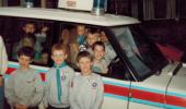 beaver_1 image