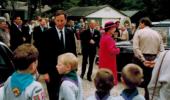 beaver_3 image